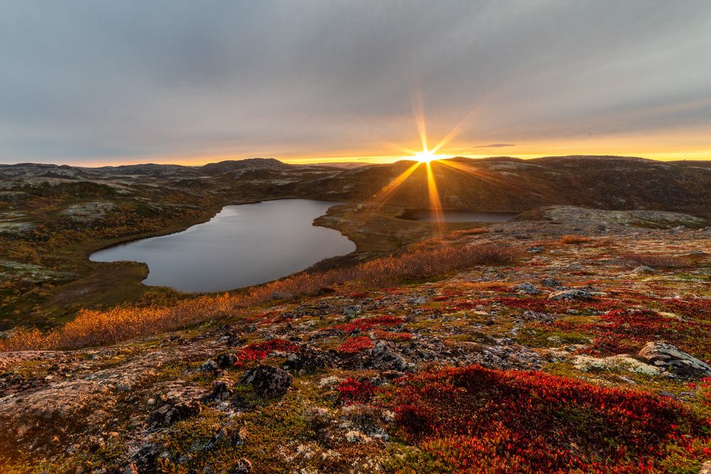Photograph by Дмитрий Климов