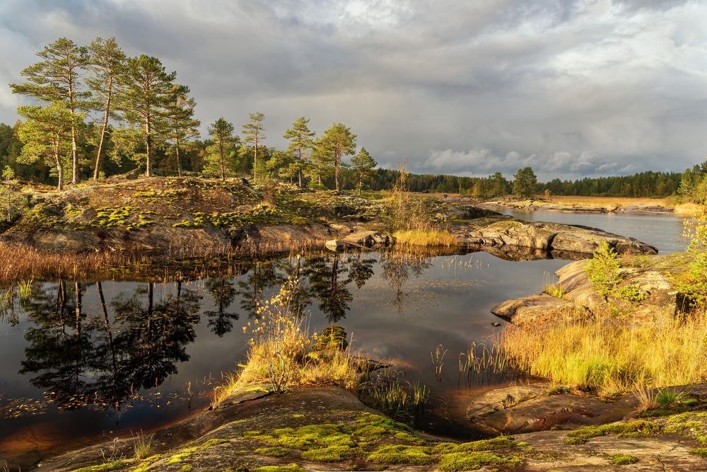 Photograph by Дмитрий Климов