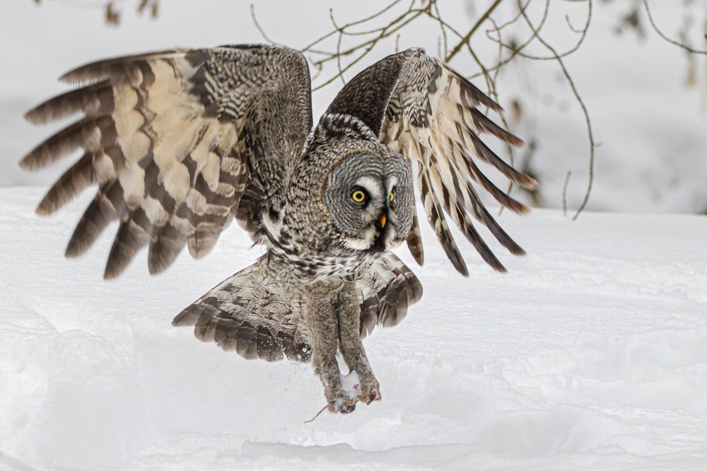 Photograph by Светлана Барабанщикова