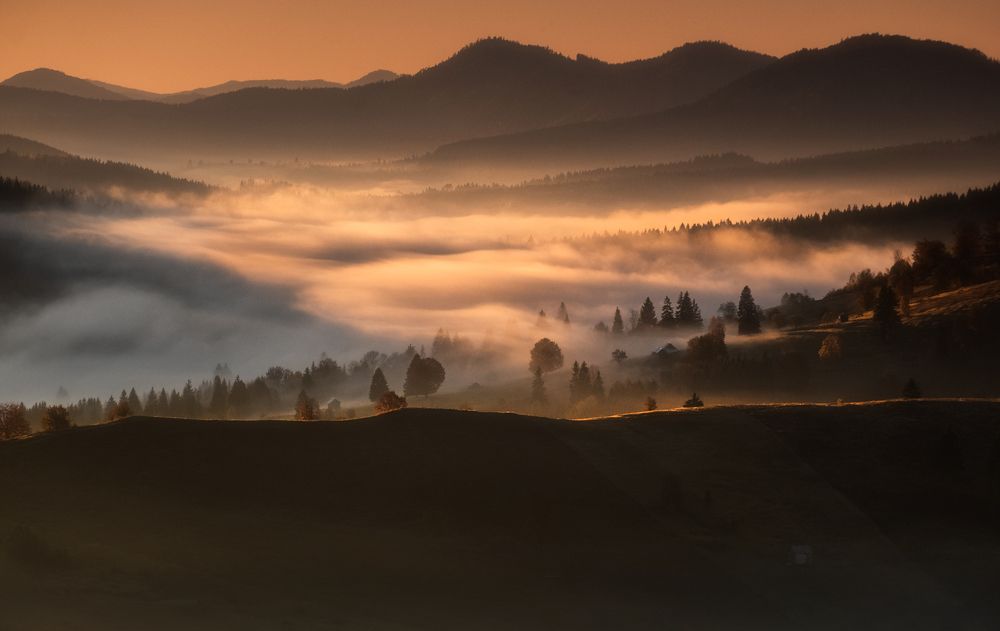 Фотография автора Popescu Cezar Gabriel