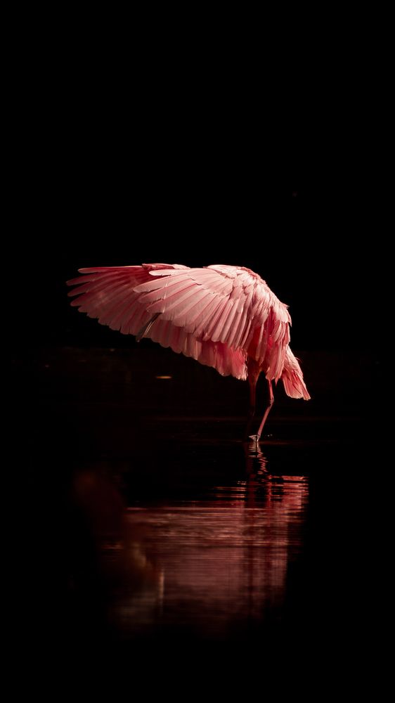 Photograph by Alex Vargas