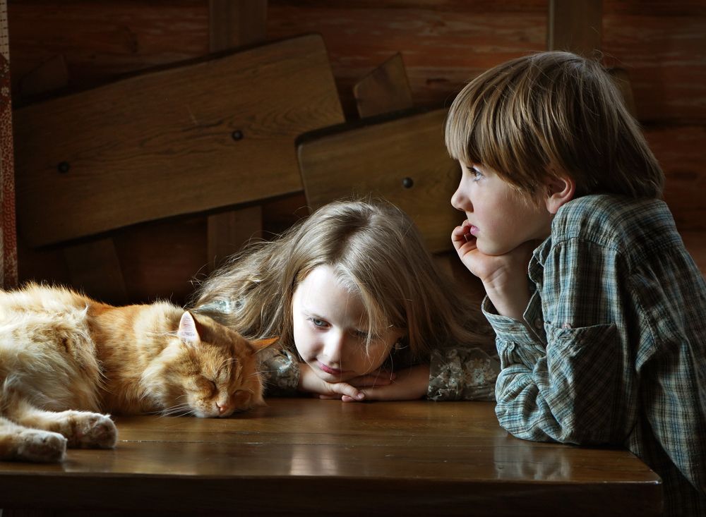 Photograph by Михальчук Надежда