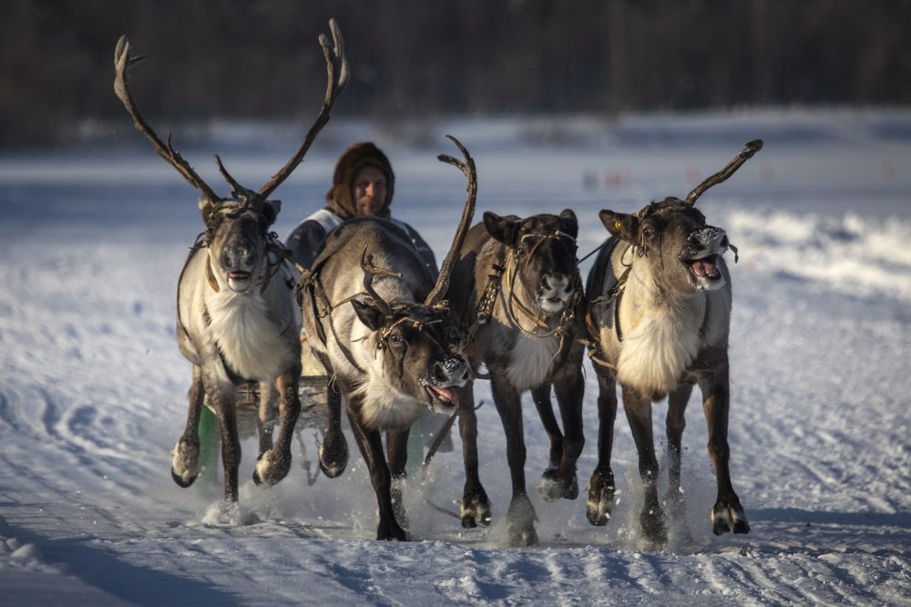 Photograph by Татьяна Борисова