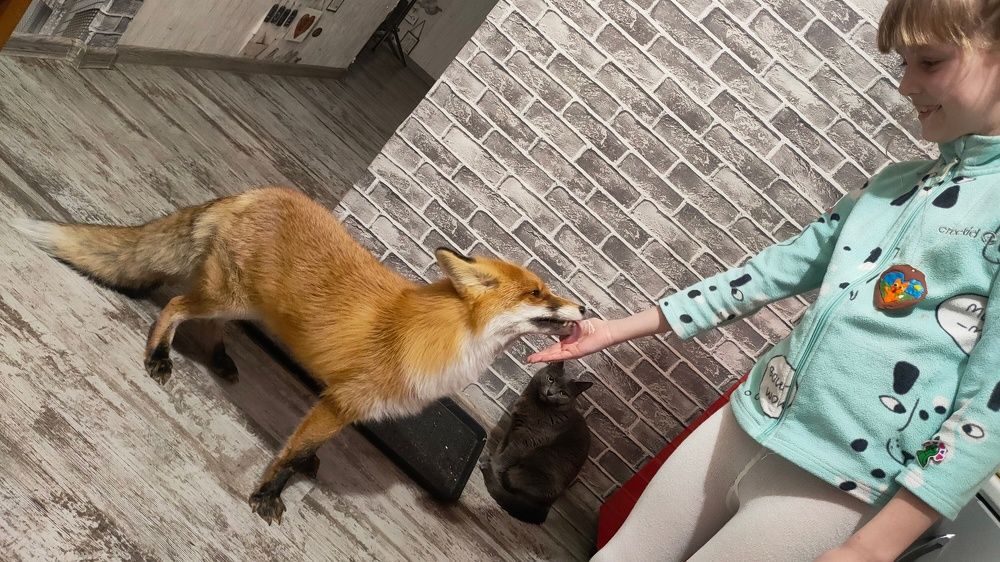 Photograph by Константин Ложеницын