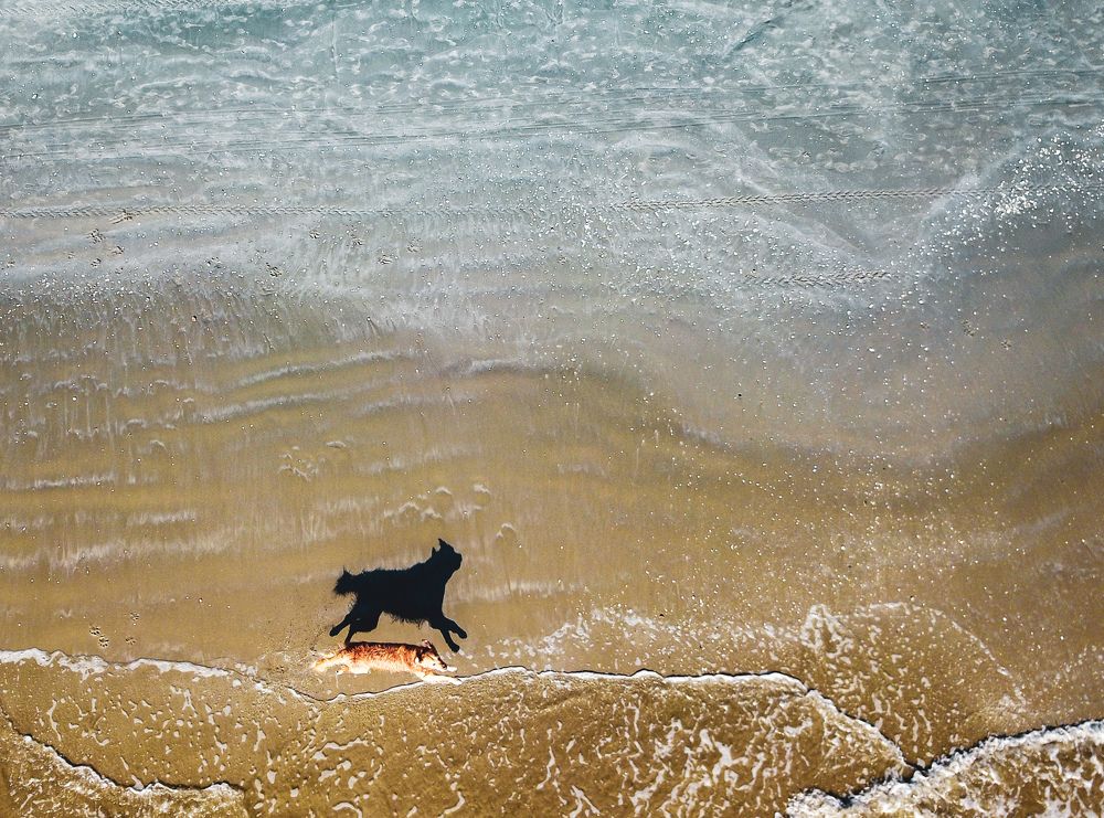 Фотография автора Popescu Cezar Gabriel