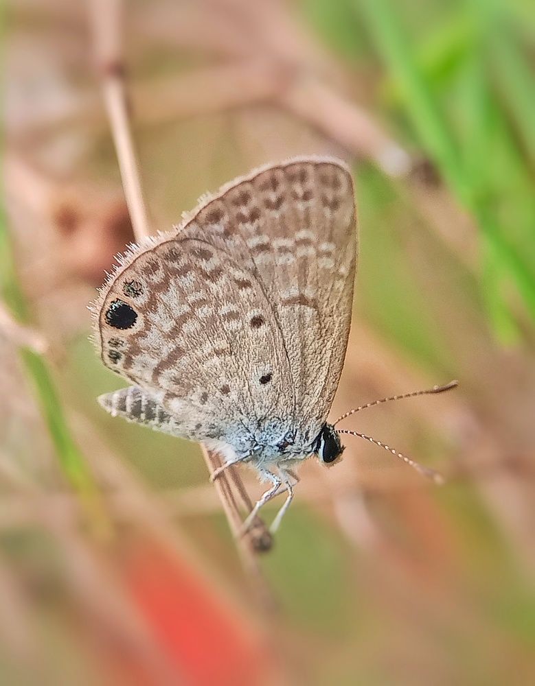 Photograph by bigu *