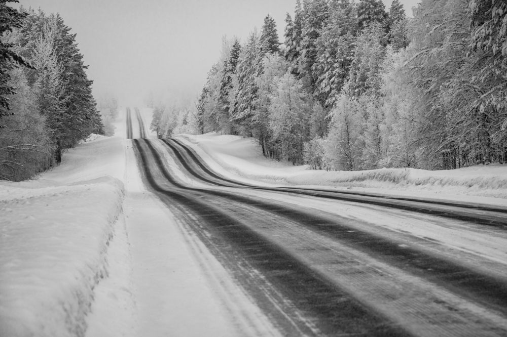 Фотография автора Katrin Lillenthal