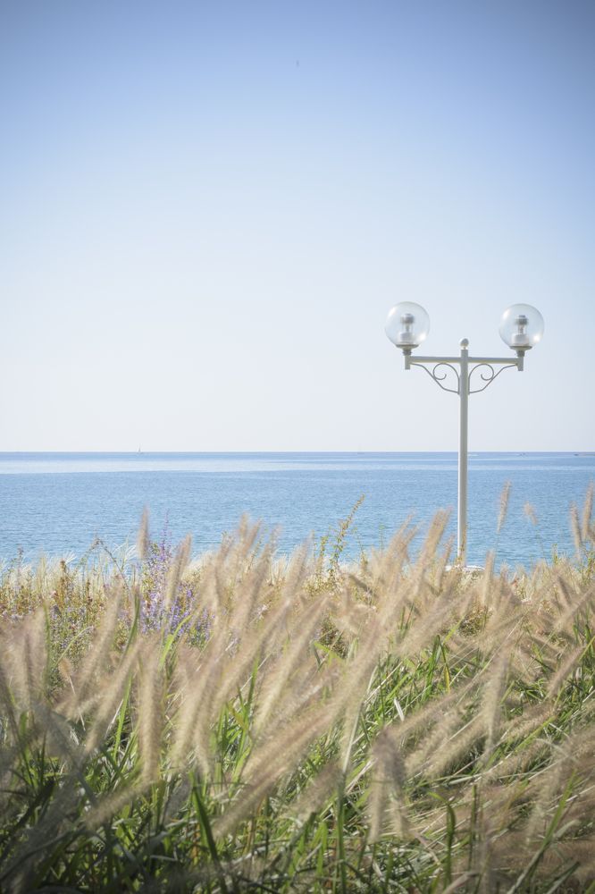 Photograph by Татьяна Хорошун