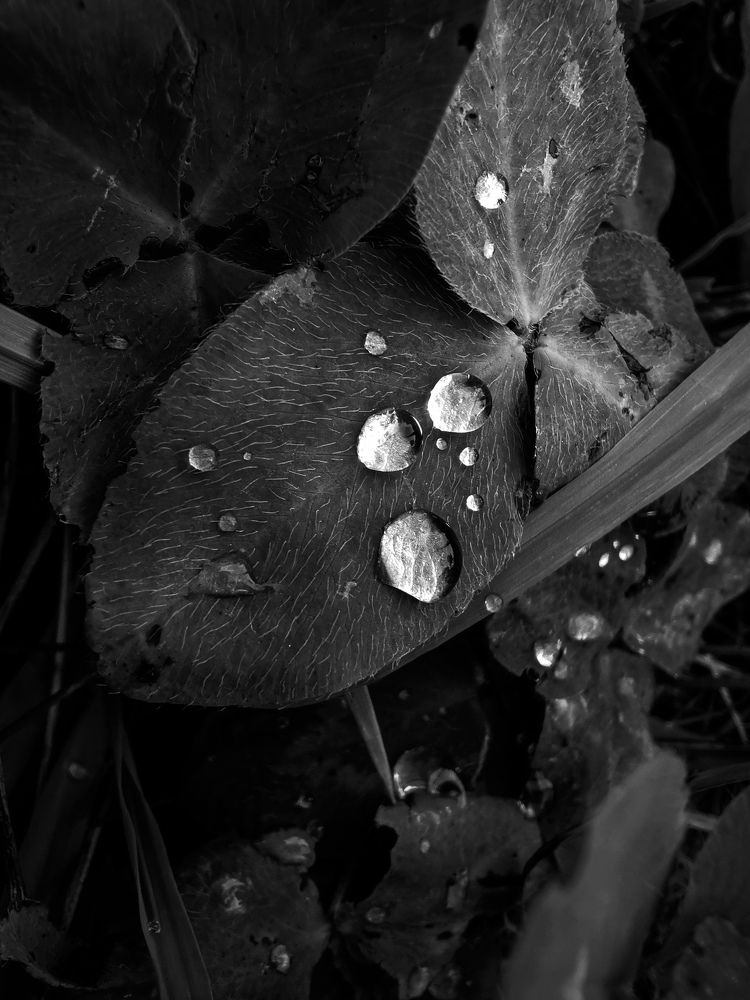 Photograph by Чупин Кузьма