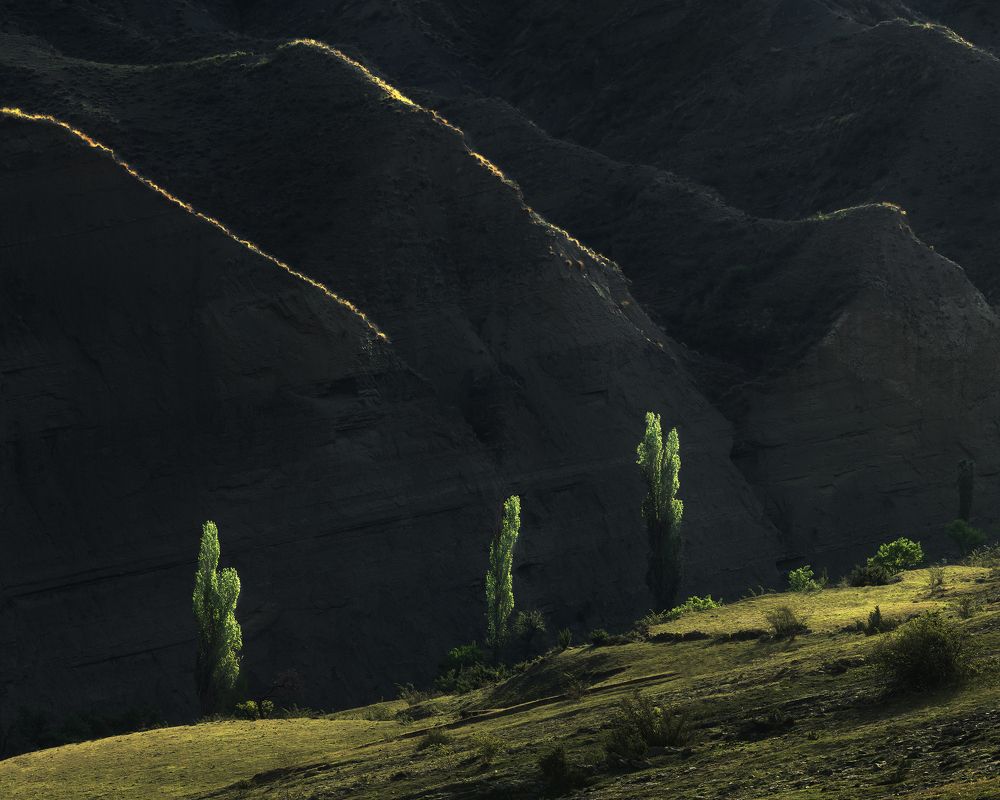 Photograph by Политова Анна