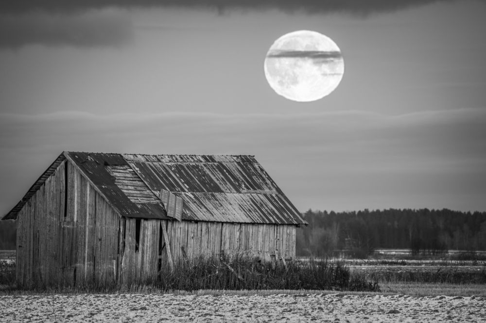 Фотография автора Katrin Lillenthal