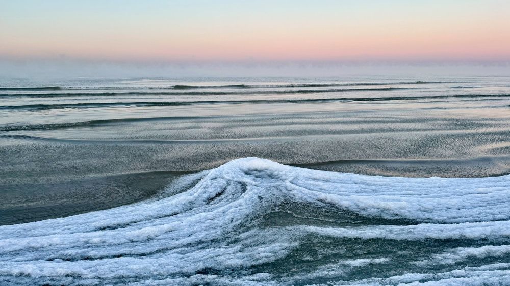 Photograph by Galina Baranovskaja