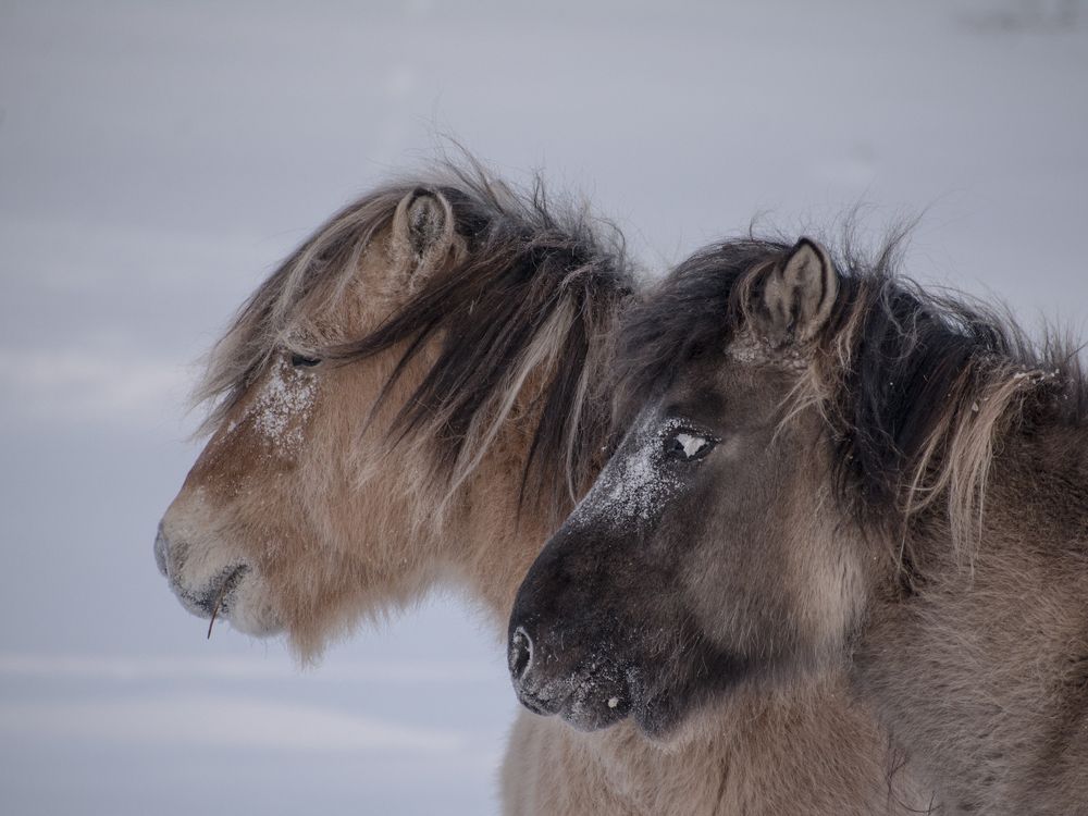 Photograph by Дмитрий Бочкарёв