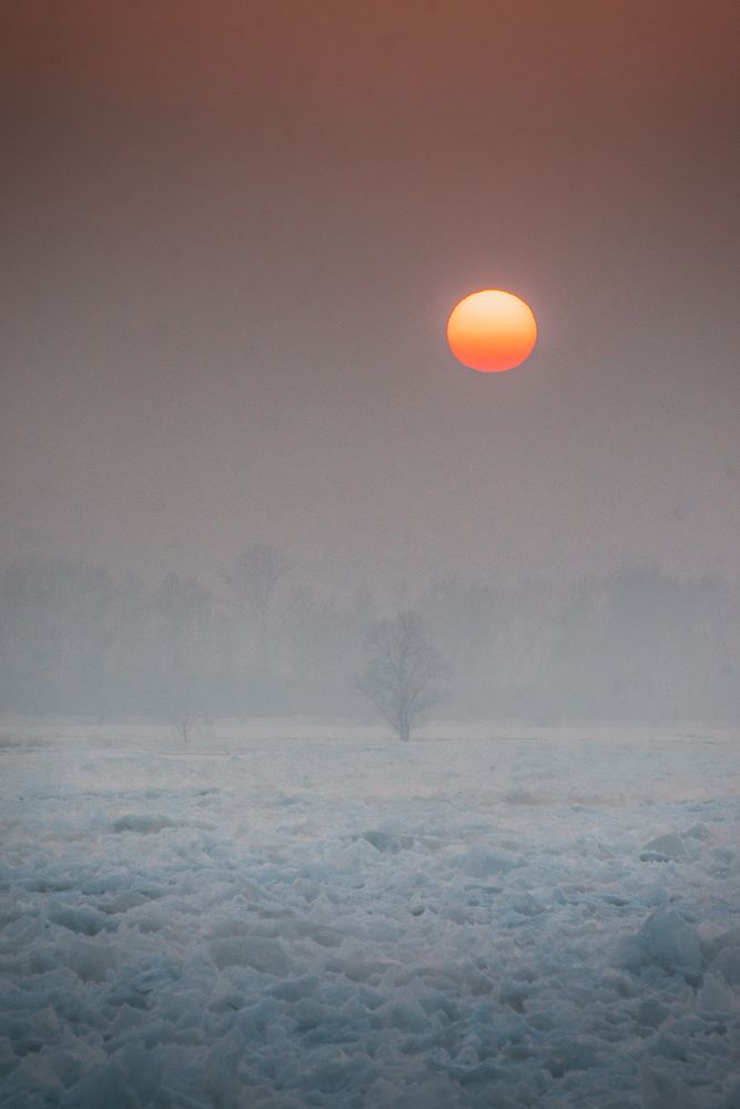 Фотография автора Julia Gorbacheva