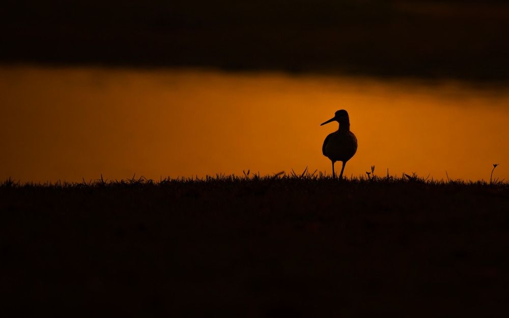 Photograph by deepakkakara23 pixel6a