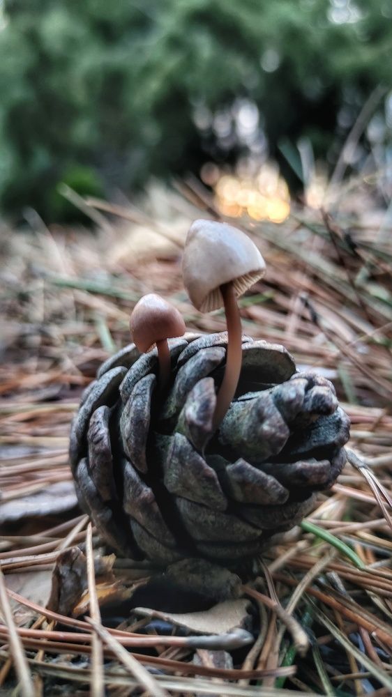 Photograph by Рита