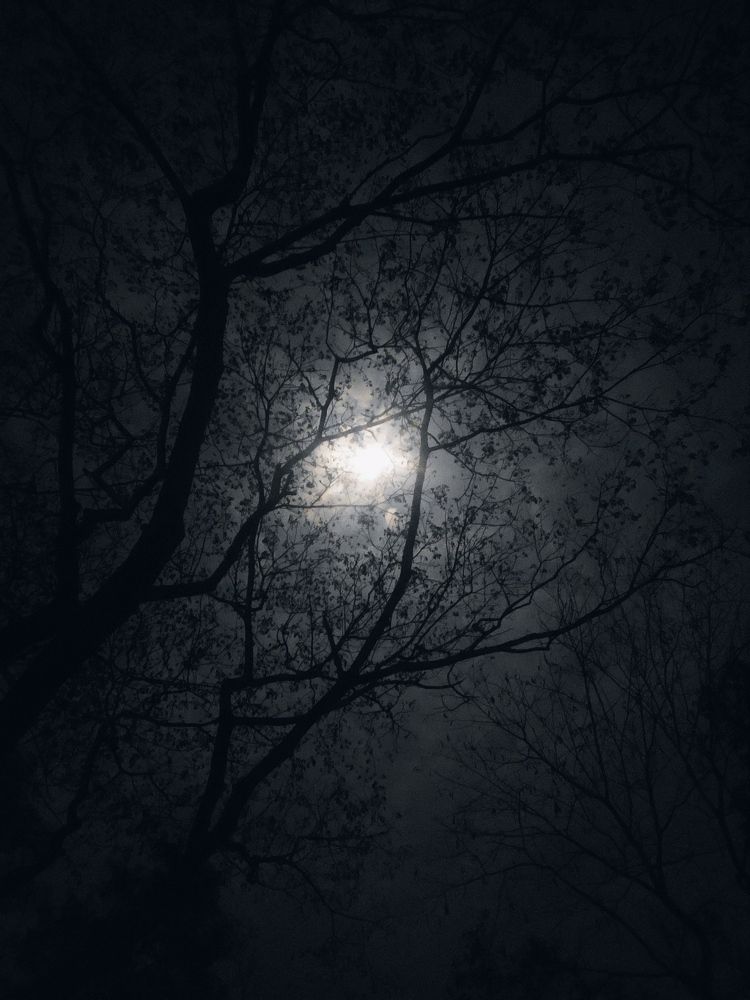 Photograph by Partha Barua