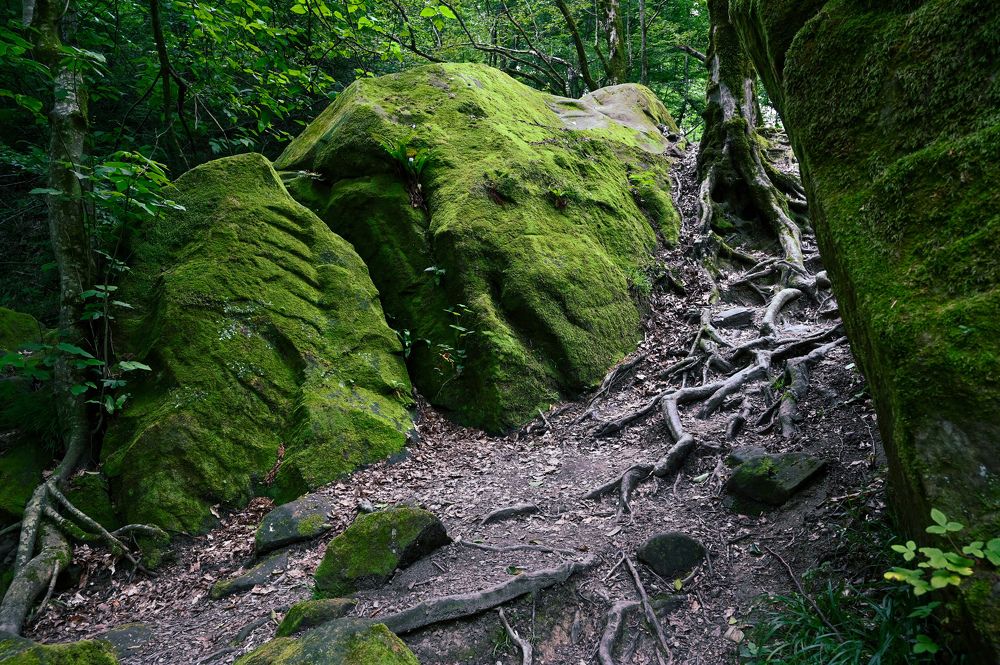 Photograph by Мария Кобыльченко