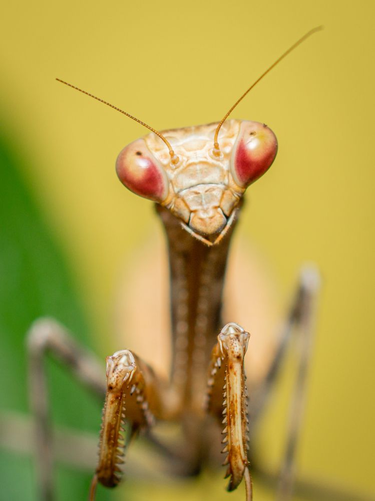 Photograph by Jose Martin Ceja Medina