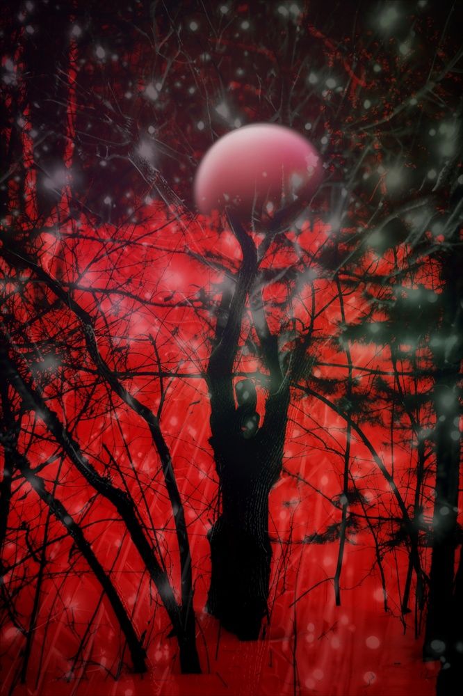 Photograph by Жиляев Евгений