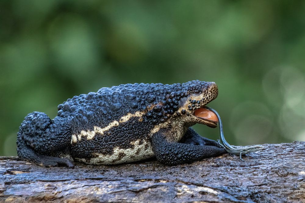 Photograph by Dzulfikri Dzulfikri