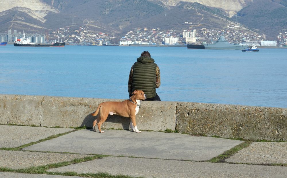 Фотография автора Михаил Мазлоев