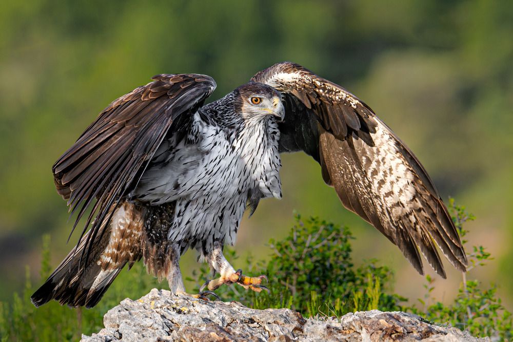 Photograph by Ruzhdi Ibrahimi