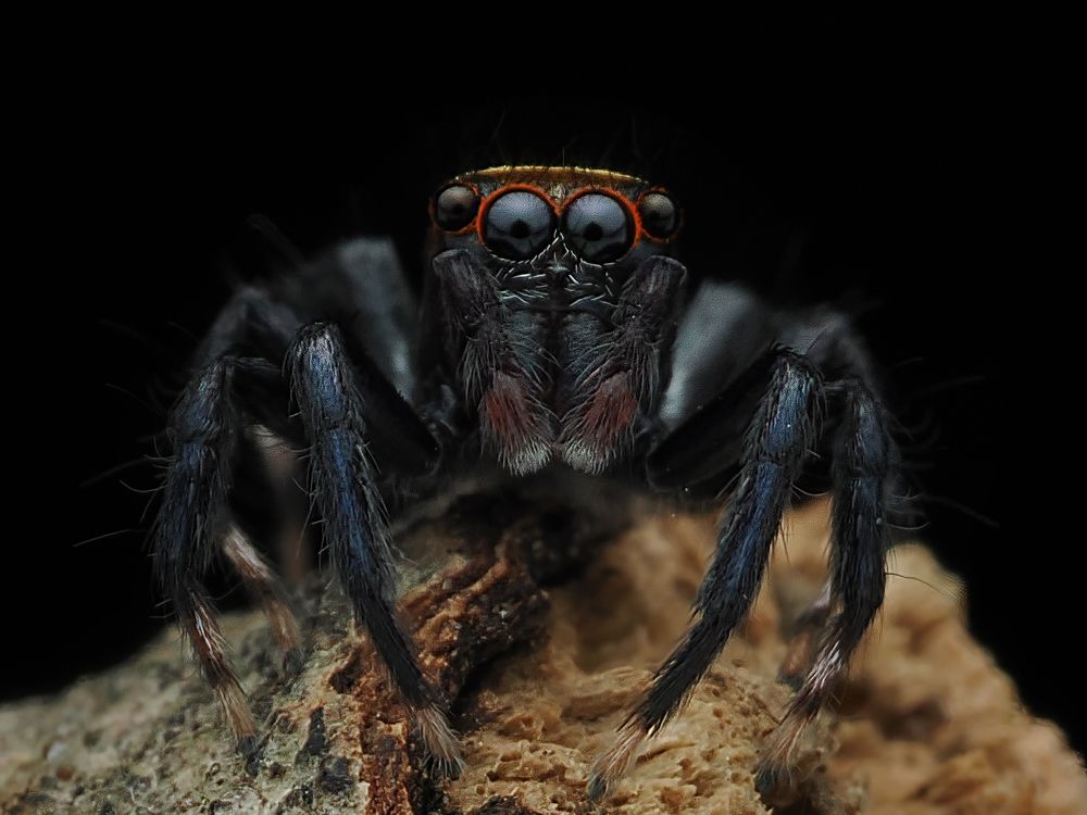 Photograph by Dzulfikri Dzulfikri