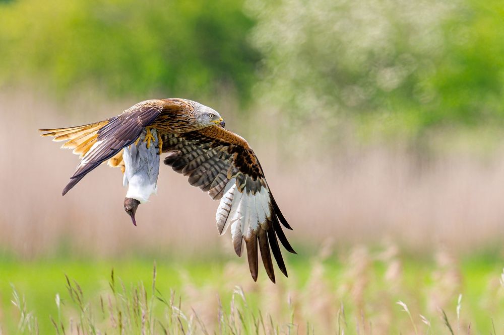 Photograph by Ruzhdi Ibrahimi