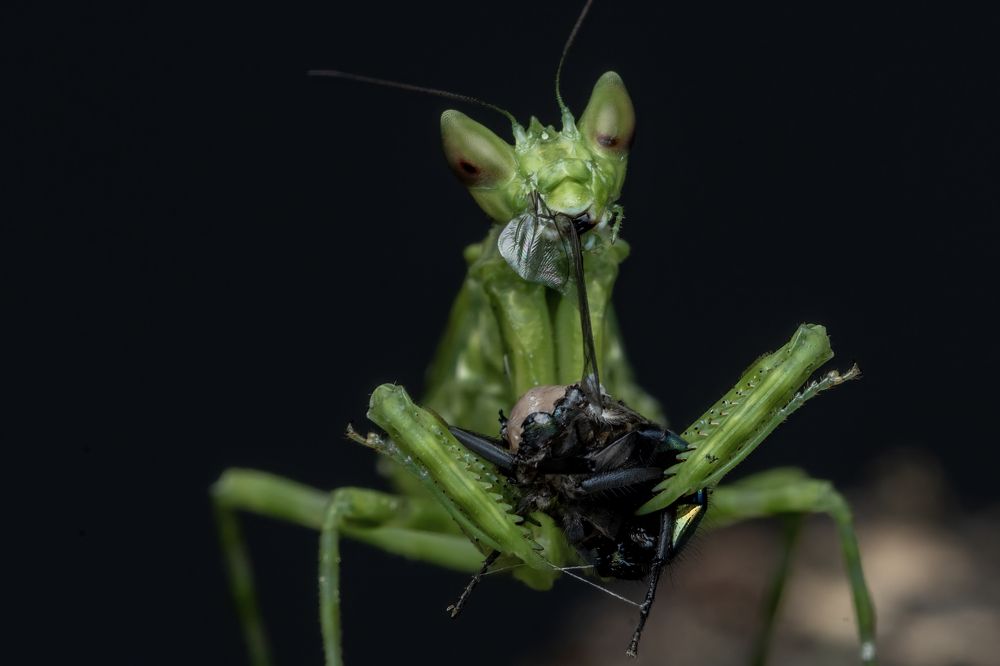 Photograph by Dzulfikri Dzulfikri