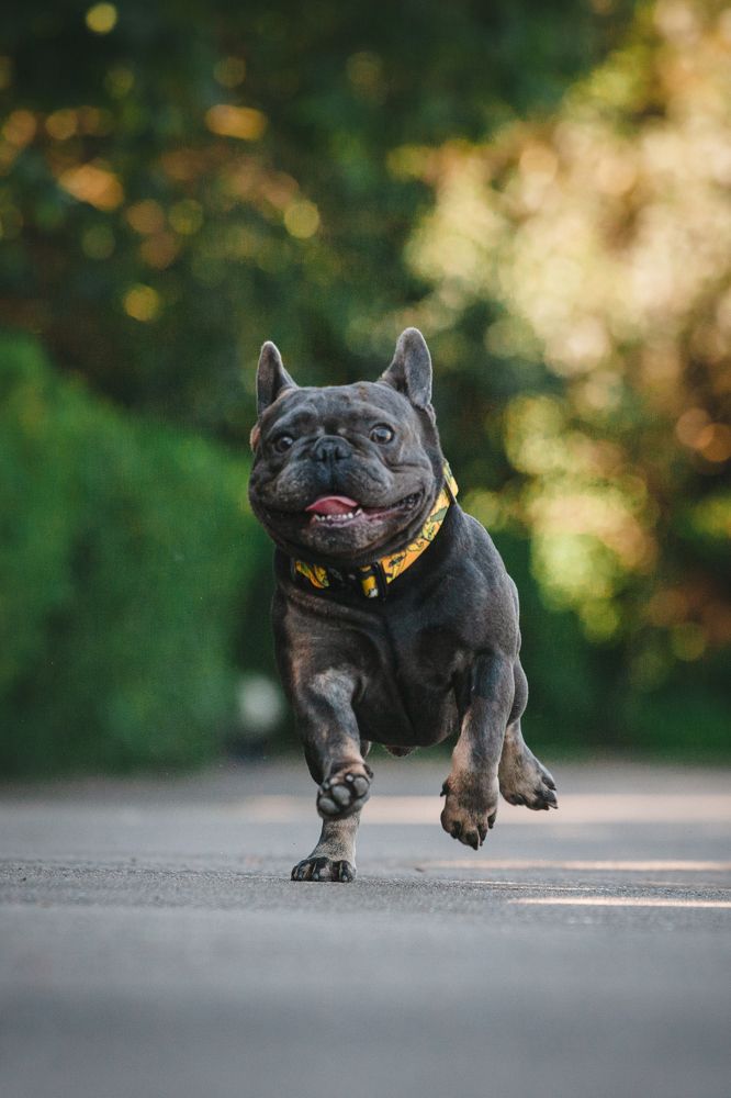 Photograph by Татьяна Степанова