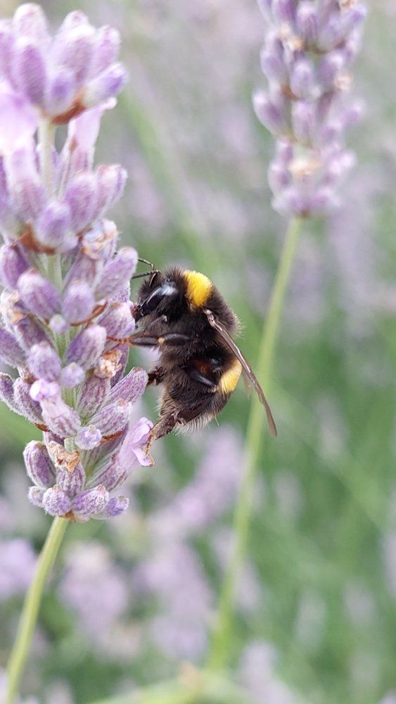 Photograph by Svitlana Usatenko