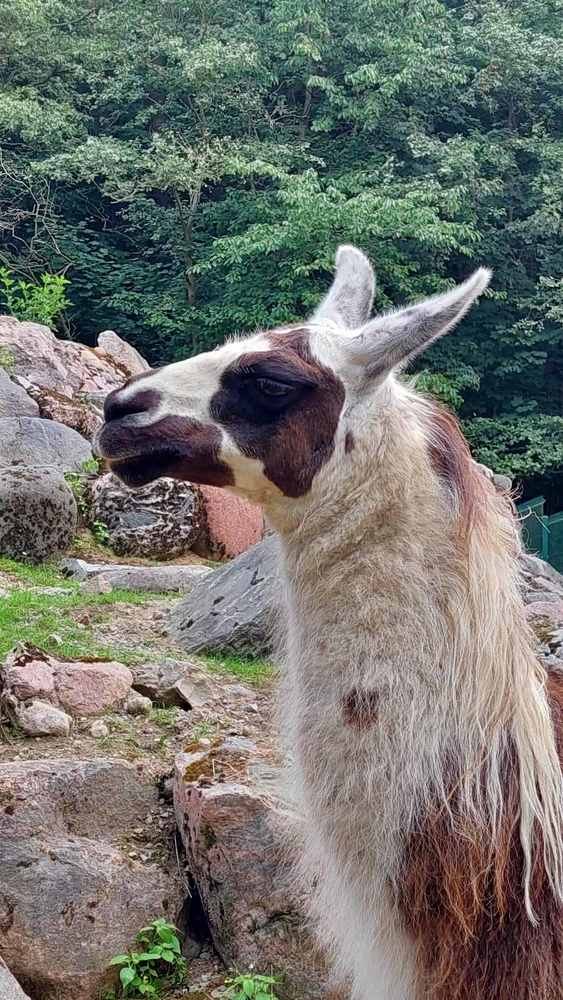 Photograph by Svitlana Usatenko