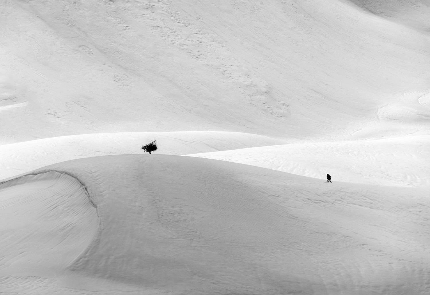 Фотография #10430838