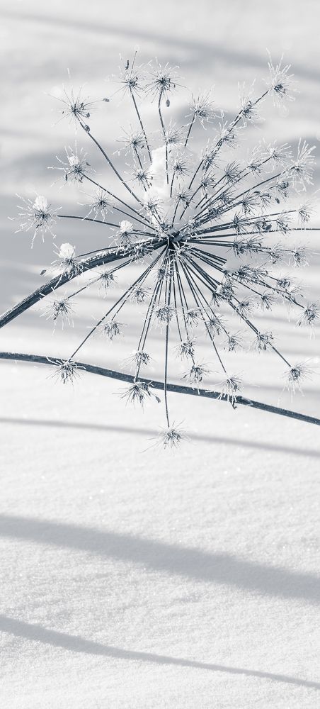 Фотография автора Войнов Дмитрий