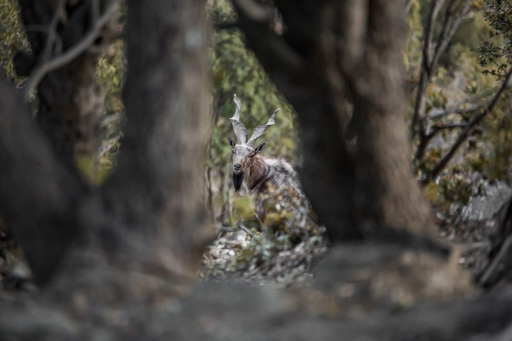 Photograph by Shahzad Ali