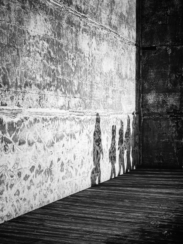 Photograph by Евгения Никишина