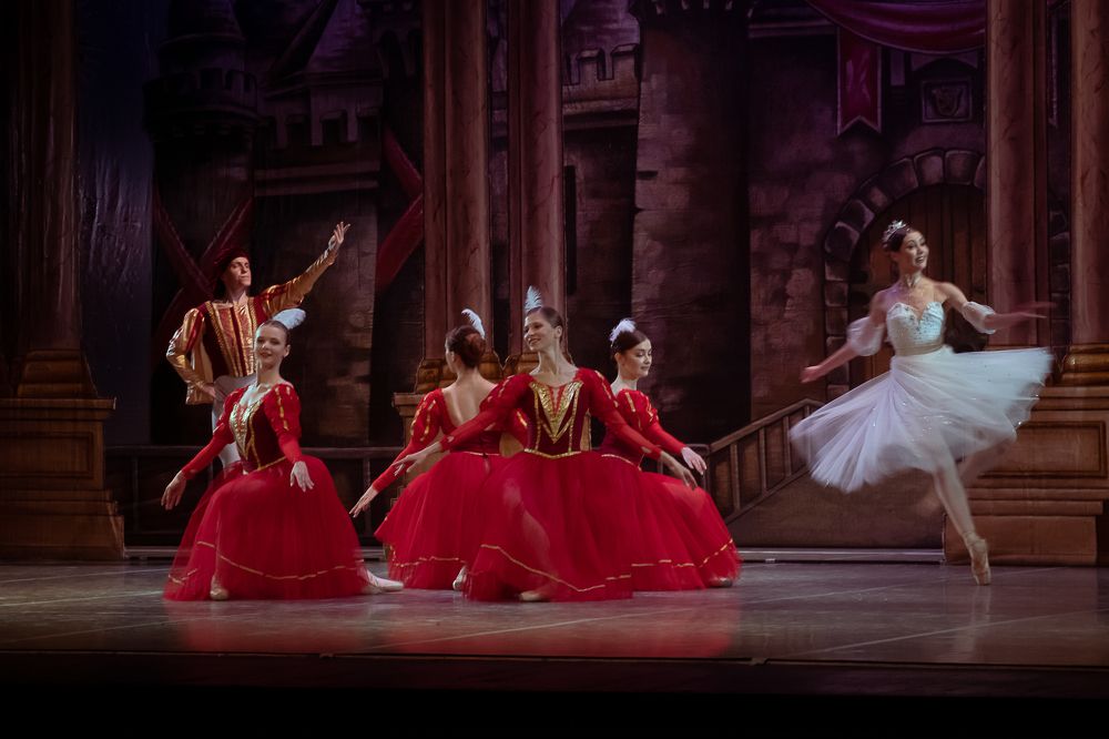 Фотография автора Сафонова Людмила