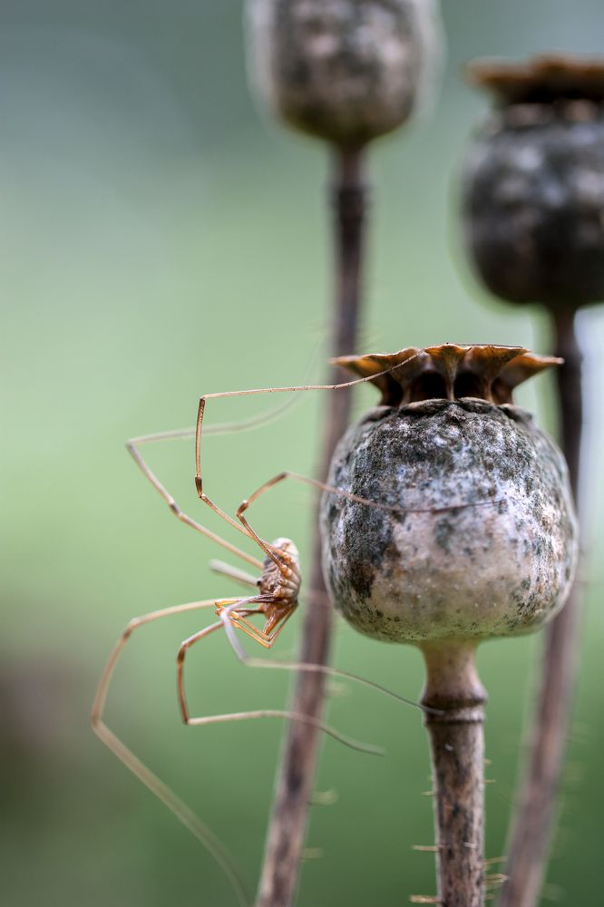 Фотография автора Екатерина Молодкина