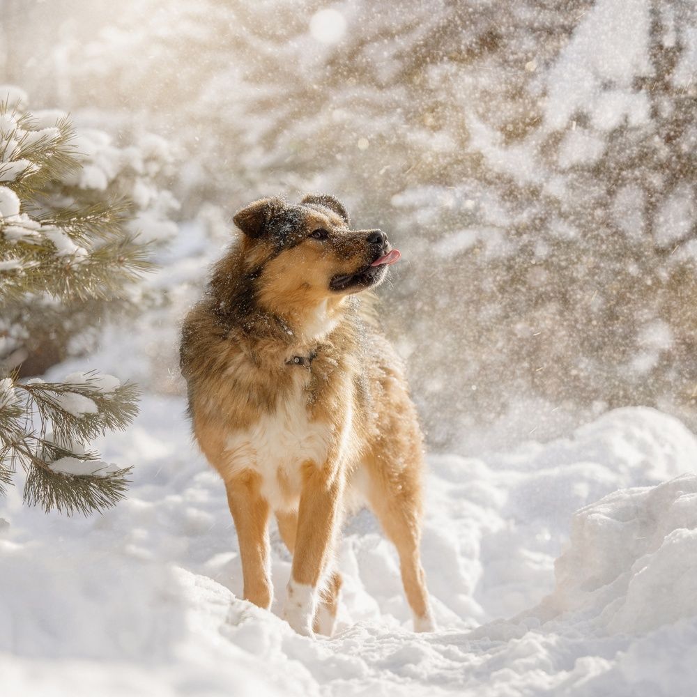 Photograph by Татьяна Тихомирова