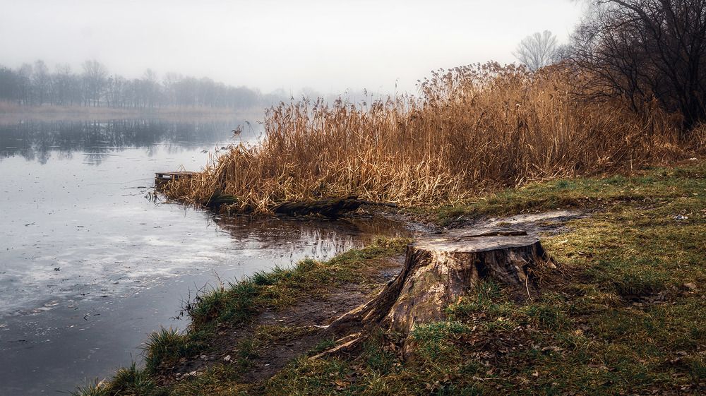 Photograph by Сергей Епишев