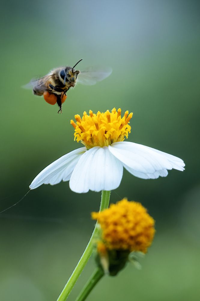Photograph by Dzulfikri Dzulfikri