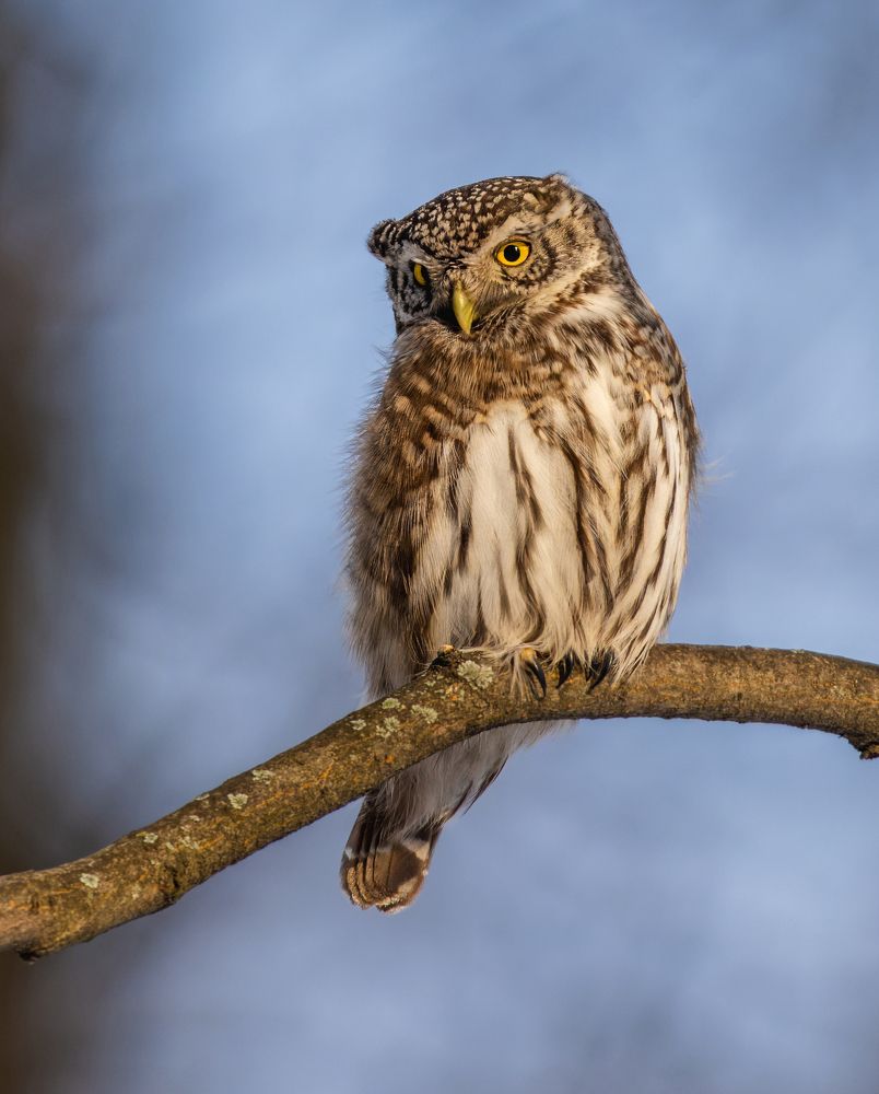 Photograph by Дэм Константин