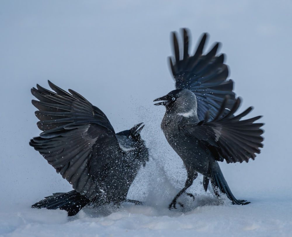 Photograph by Дэм Константин