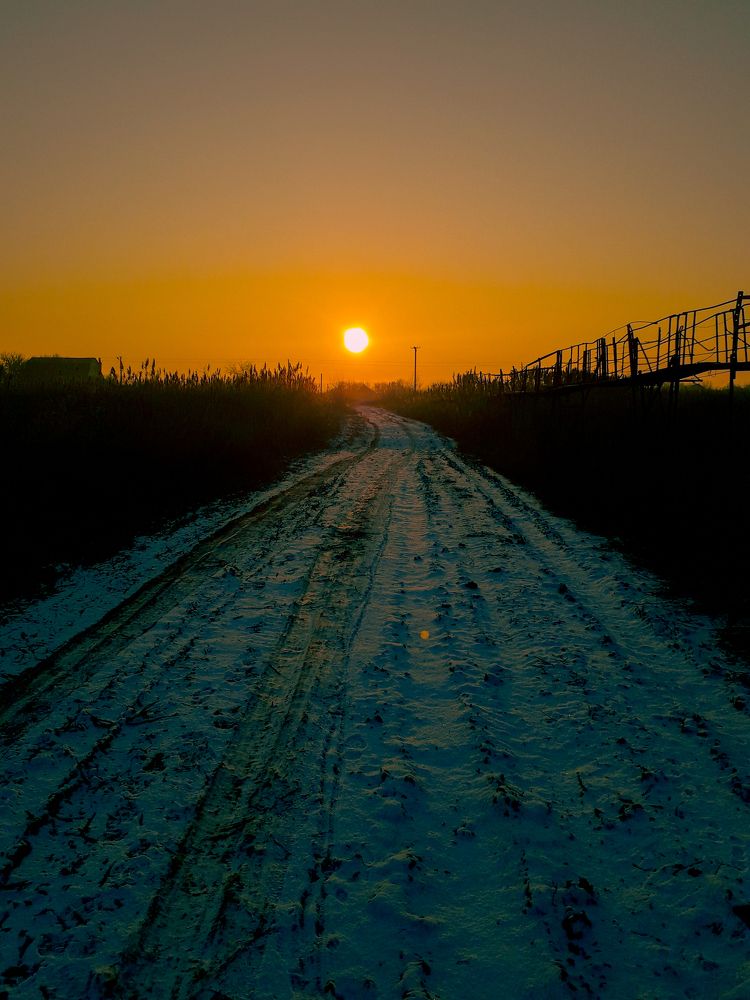 Photo #10431103
