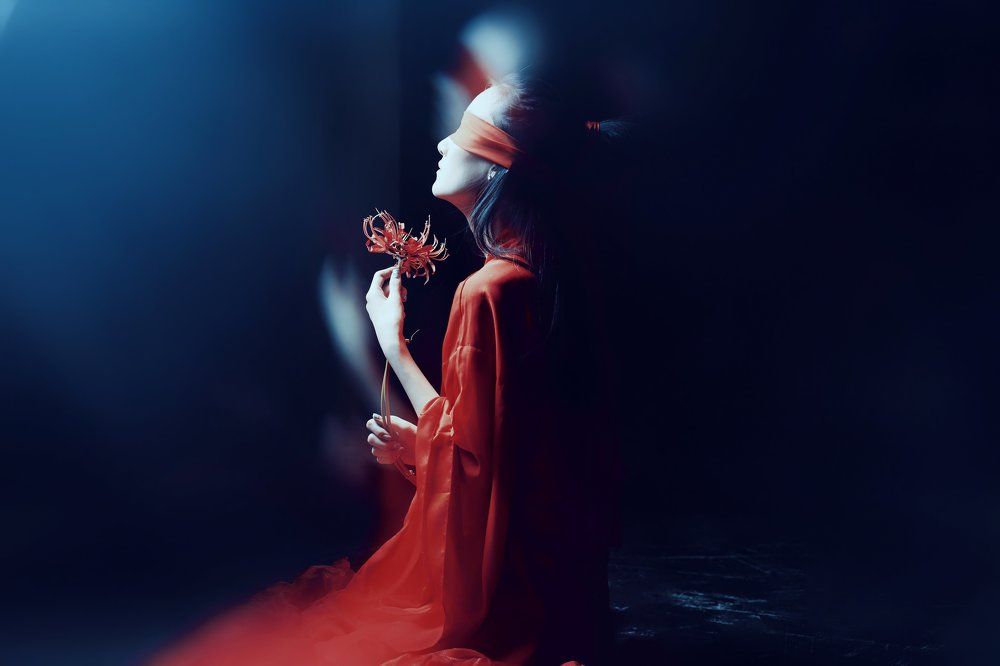 Цветущая сакура в лунную ночь