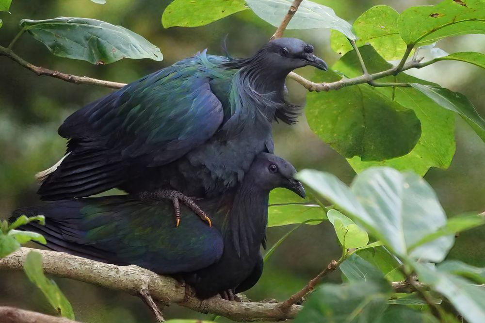 Photograph by Dzulfikri Dzulfikri