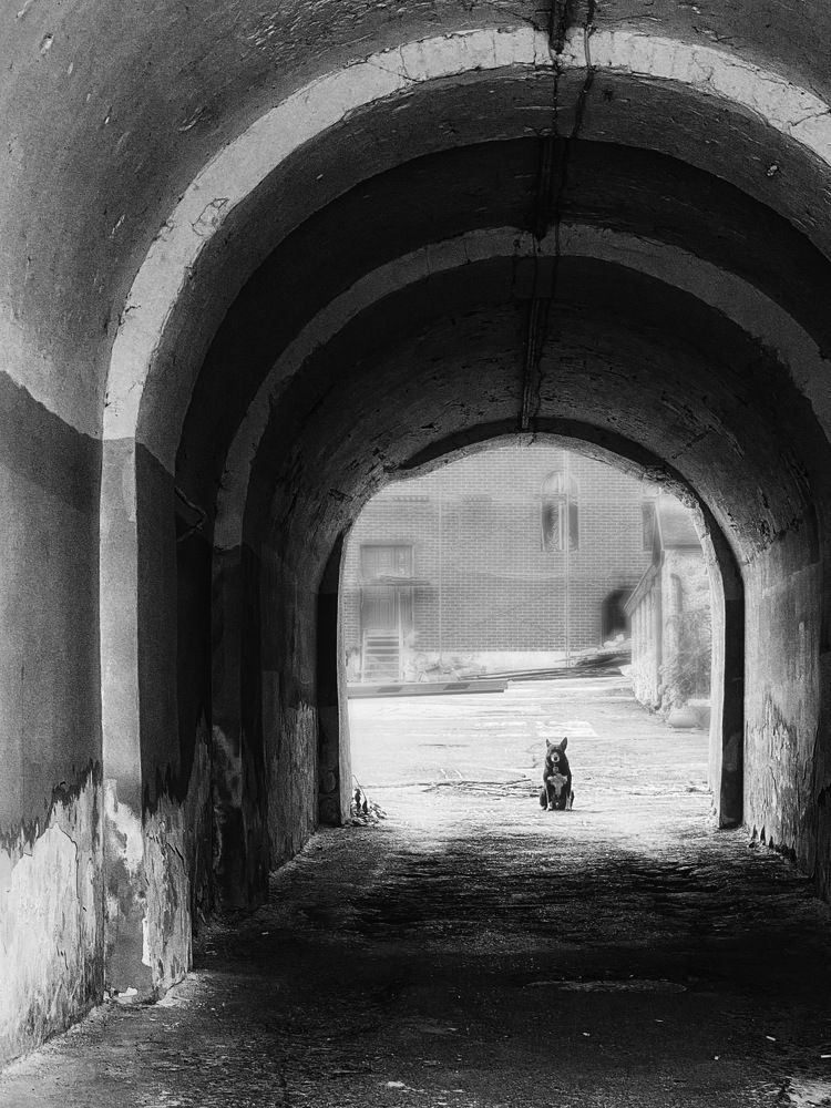 Фотография автора Евгения Никишина