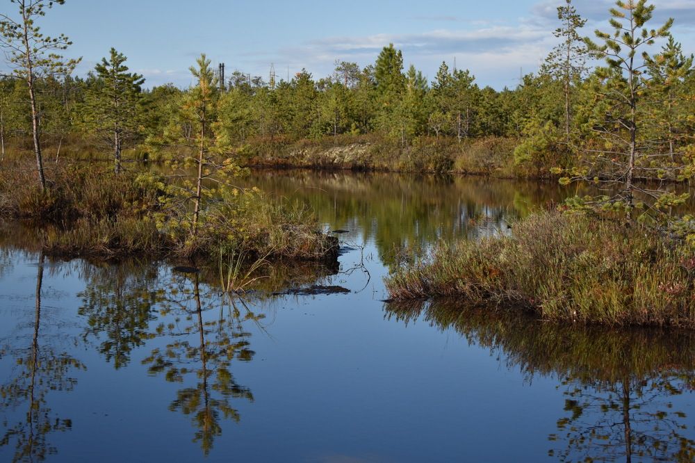 Озеро в Сургутском районе