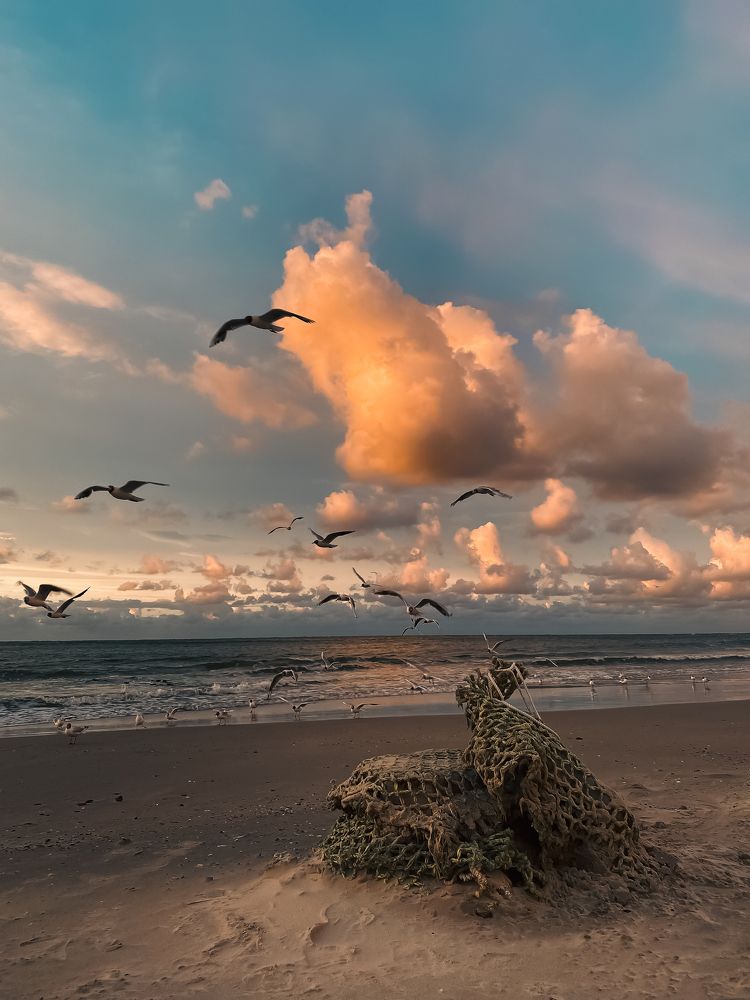 Фотография автора Ольга Артковская